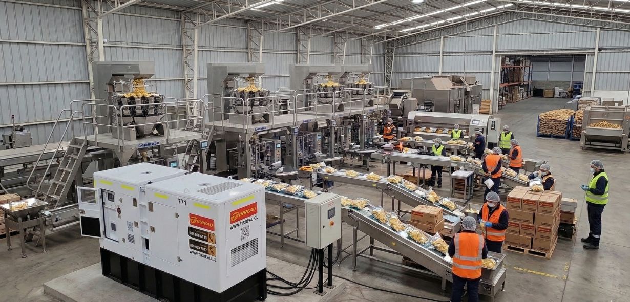 Generador en industria